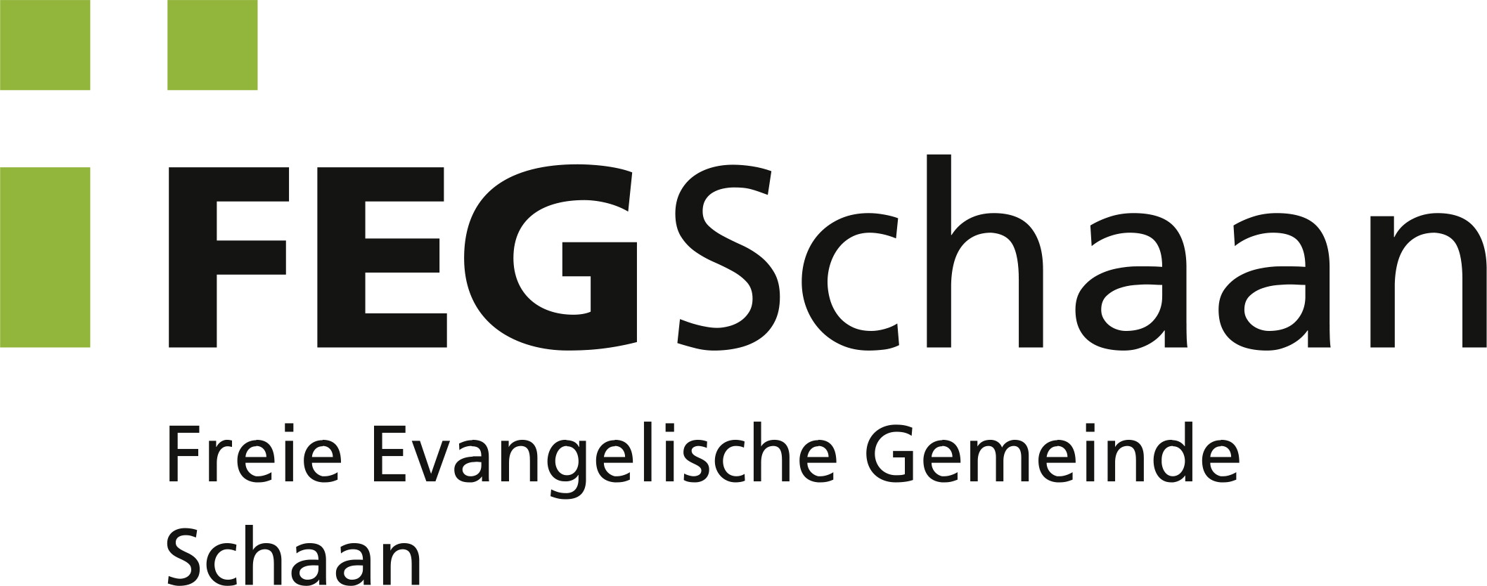 FEG Schaan Logo